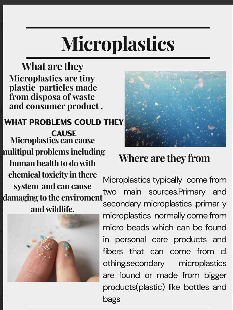 Screenshot 2025-11-06 at 8.33.37 PM.png