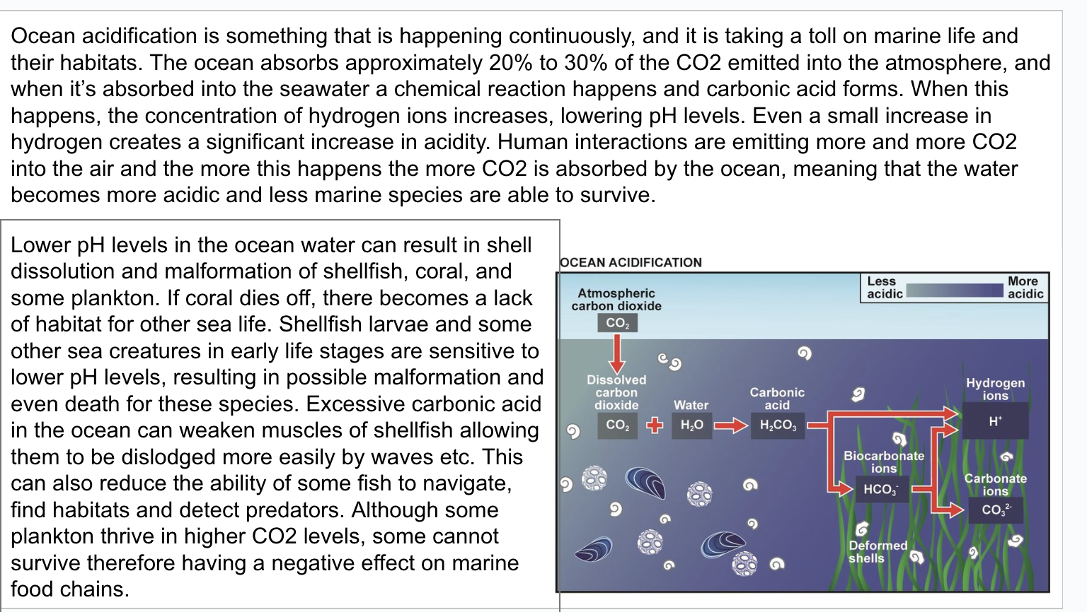 Screenshot 2025-11-18 at 12.05.34 PM.png