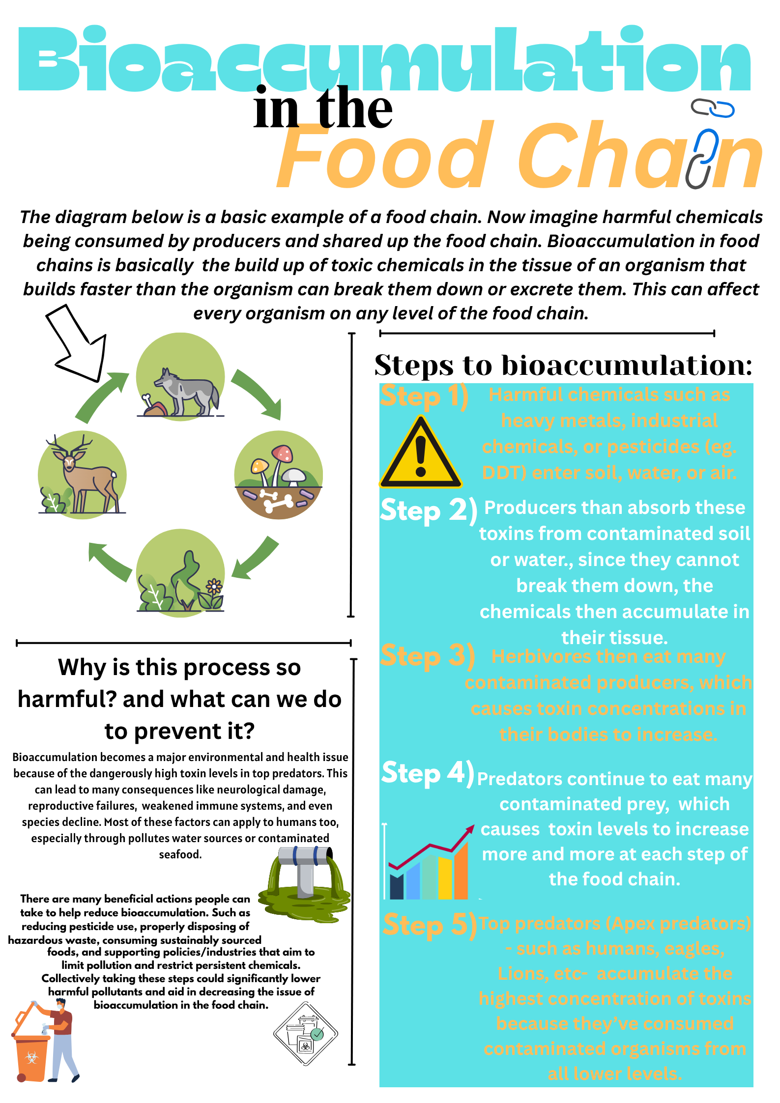 Toakase Napa'a Bioaccumulation.png