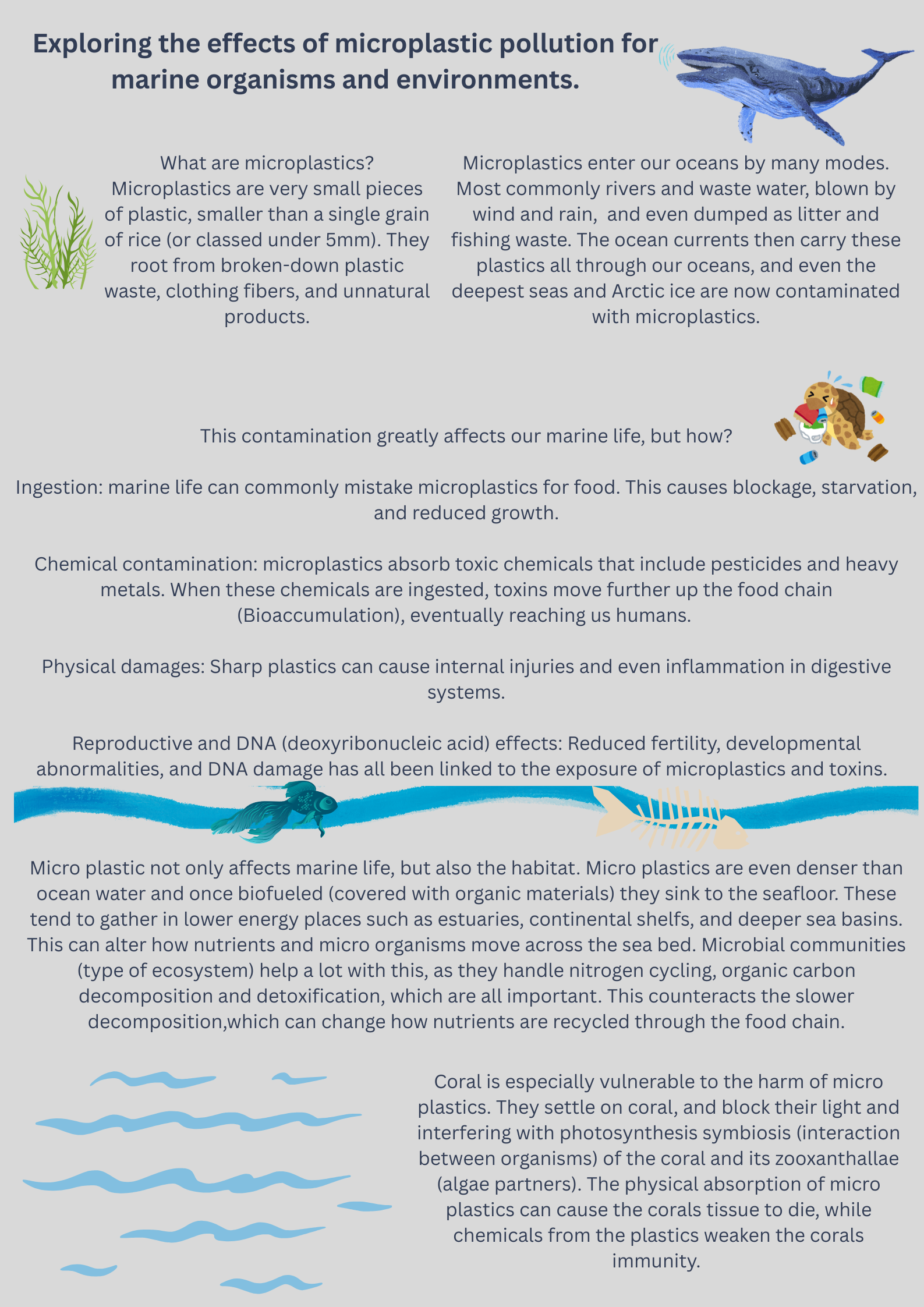 Micro plastic pollution poster - Sierra Wakeman.png