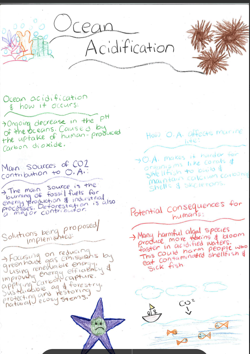 Screenshot 2025-11-18 at 12.13.57 PM.png