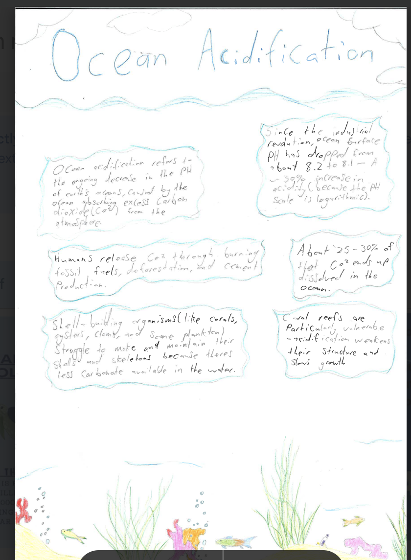 Screenshot 2025-11-18 at 12.14.14 PM.png