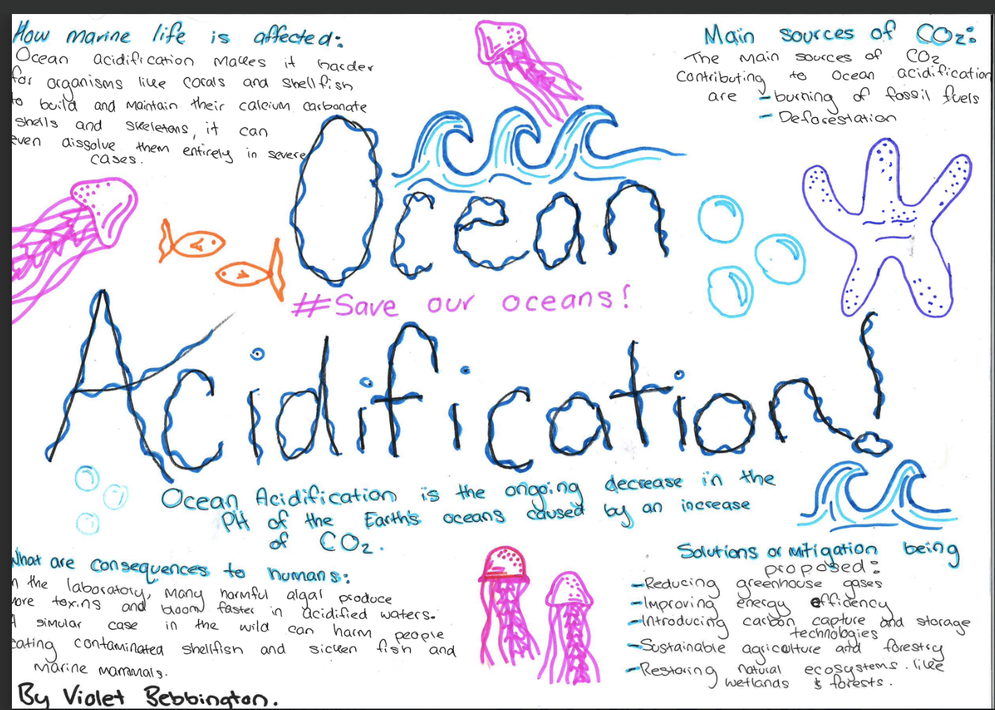 Screenshot 2025-11-18 at 12.14.29 PM.png