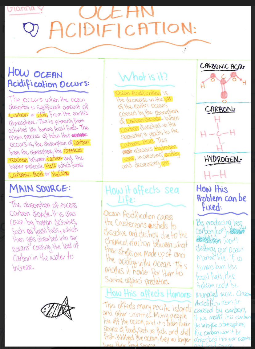 Screenshot 2025-11-18 at 12.16.14 PM.png