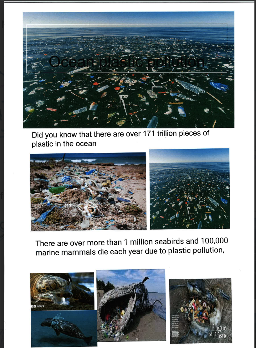 Screenshot 2025-11-18 at 12.17.12 PM.png