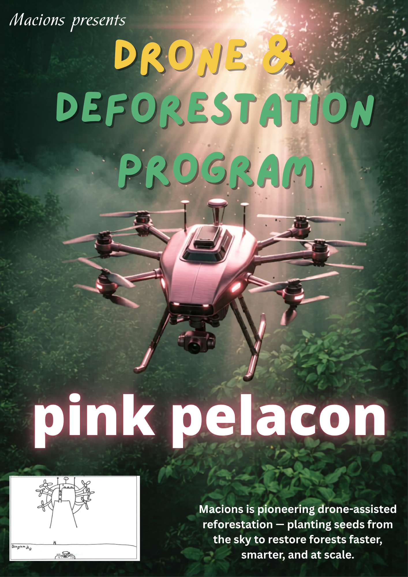 Drone and Deforestation Program.png