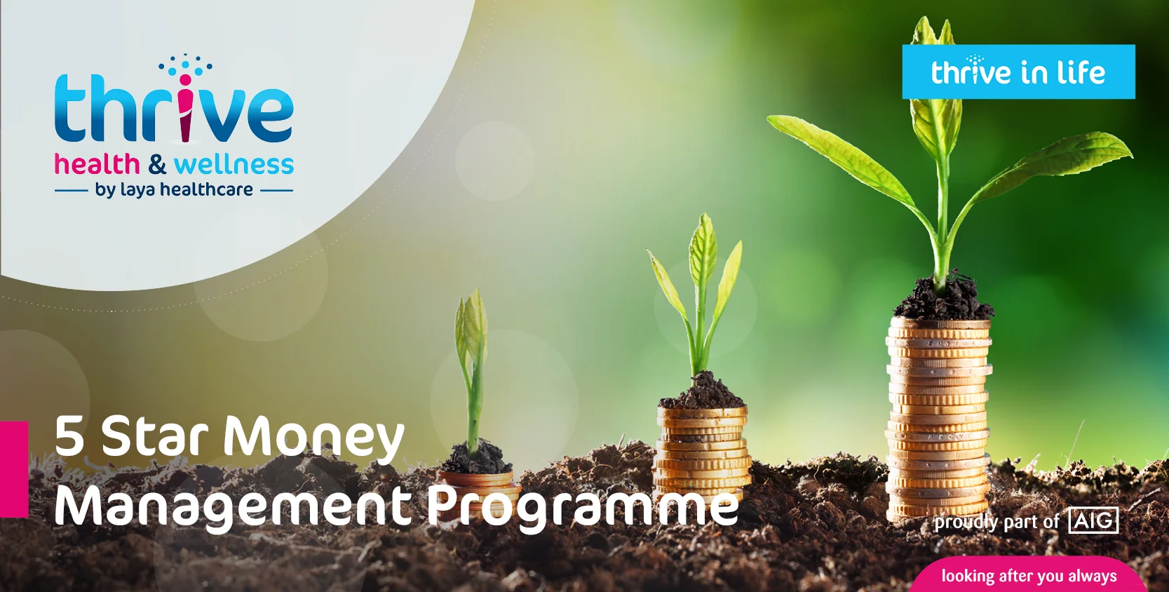 MAILCHIMP TEMPLATE. 5 Star Money Management Programme.jpg