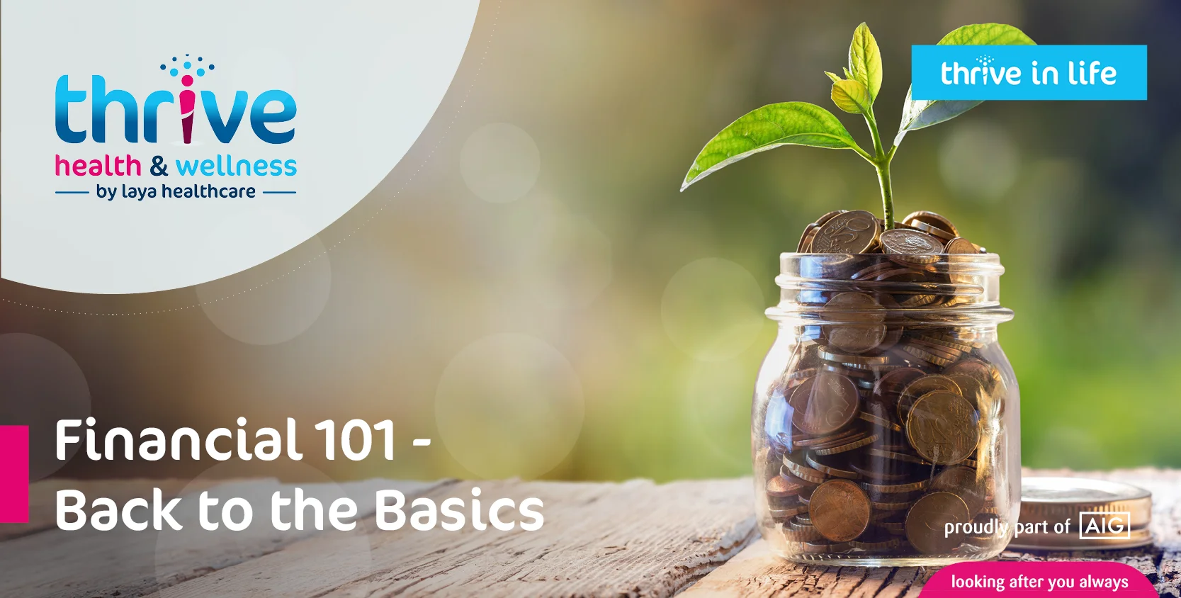 MAILCHIMP TEMPLATE. Financial 101 - Back to the Basics.jpg