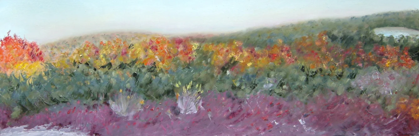 Fall Foliage