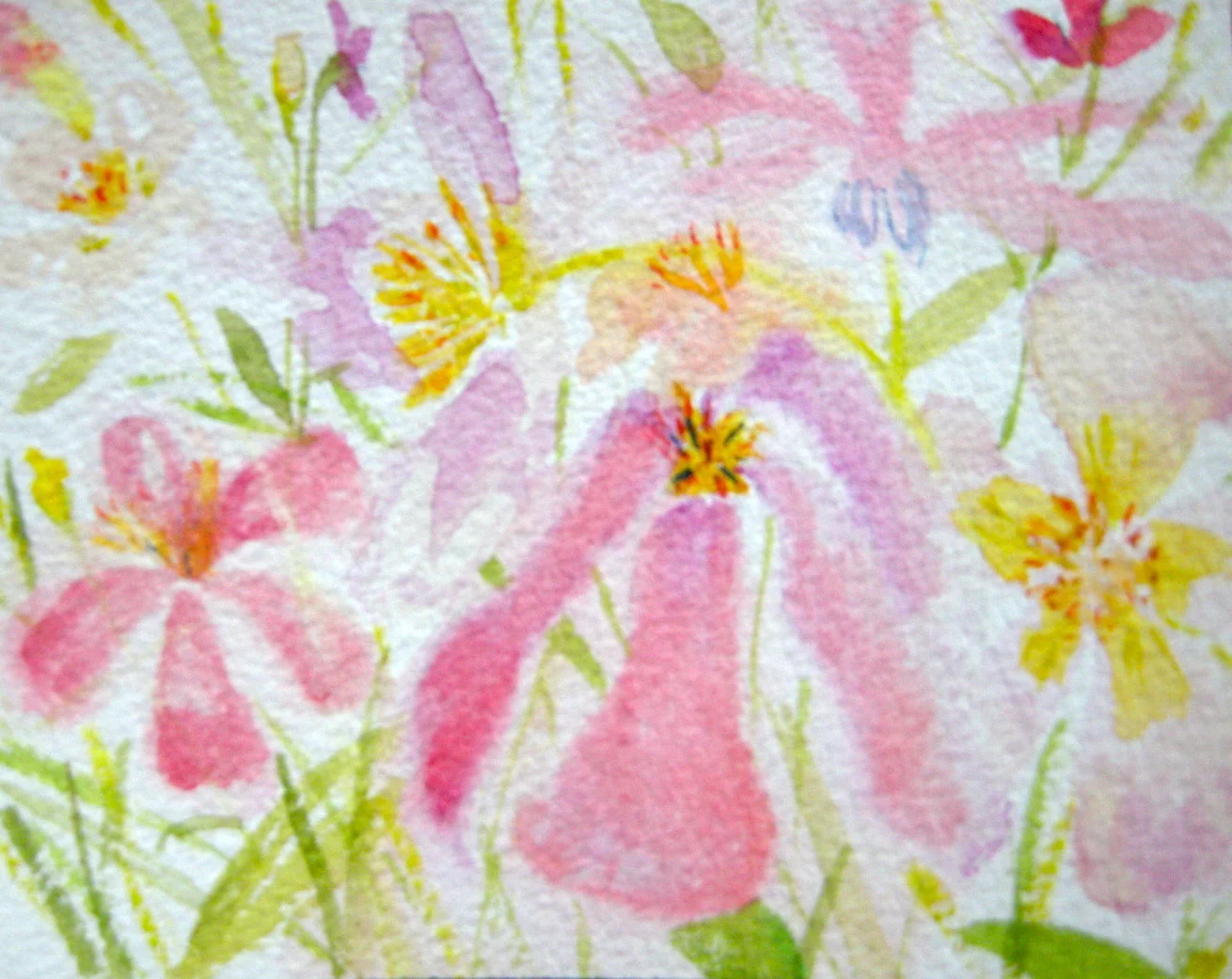 Pinks and yellow with green