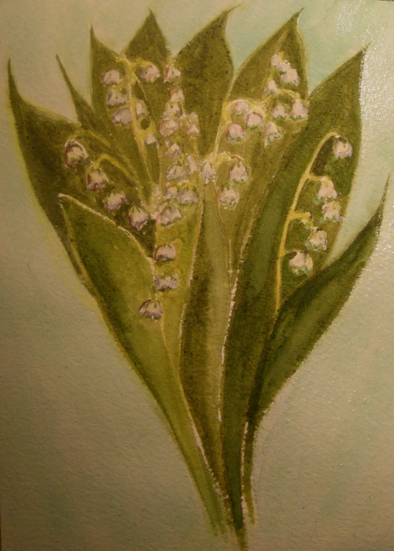 Lilies of the Valley