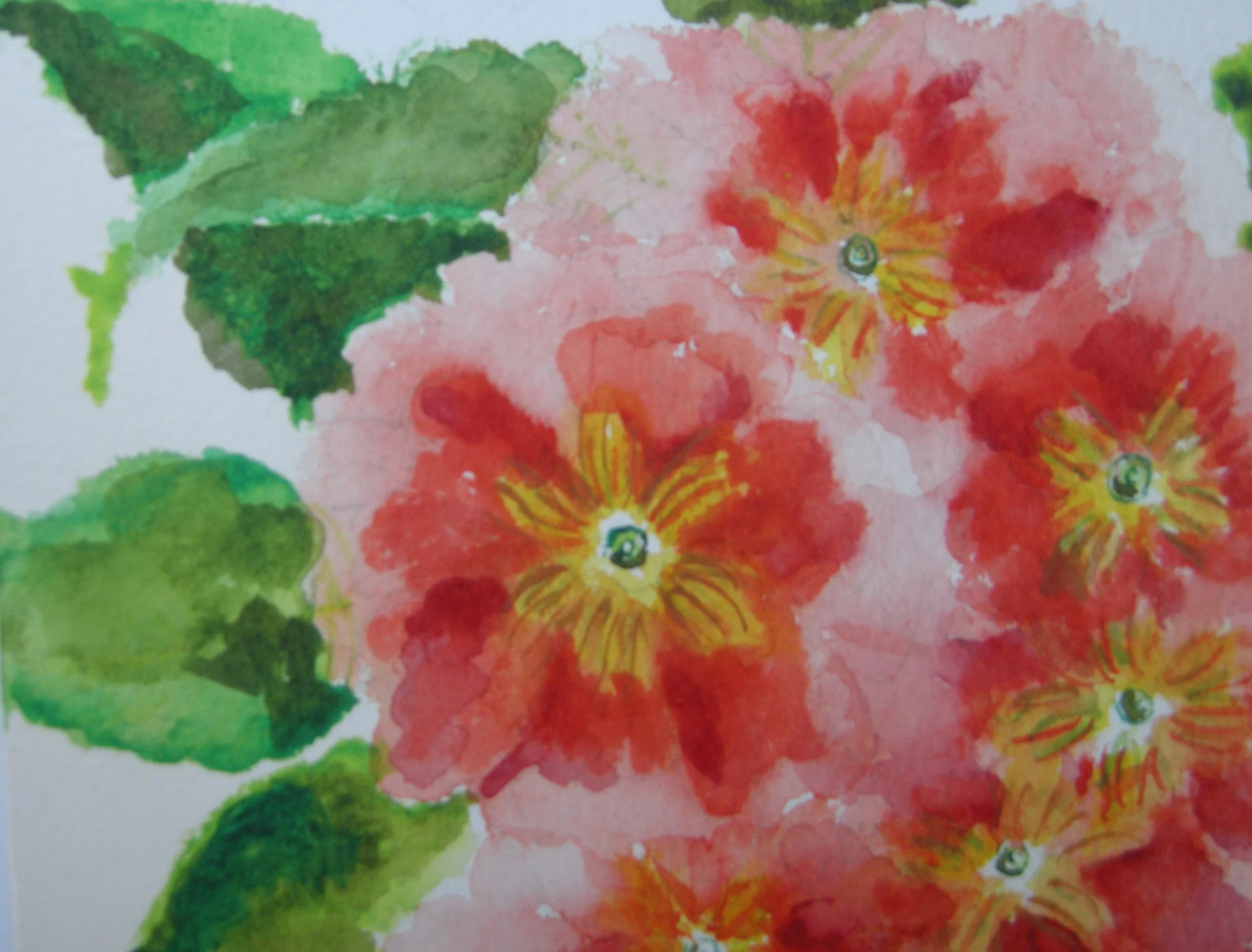 Warm red and yellow with green