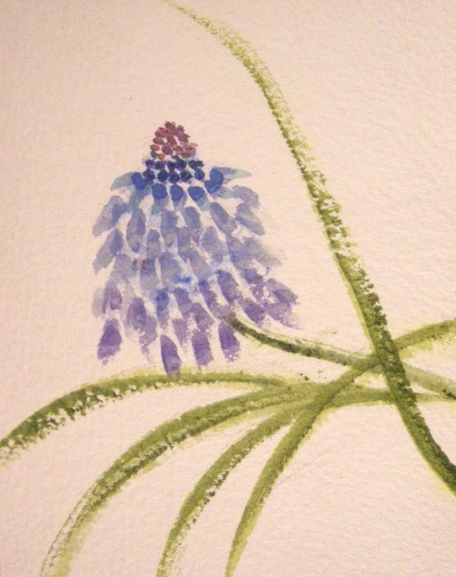 Purple dance, wallflower