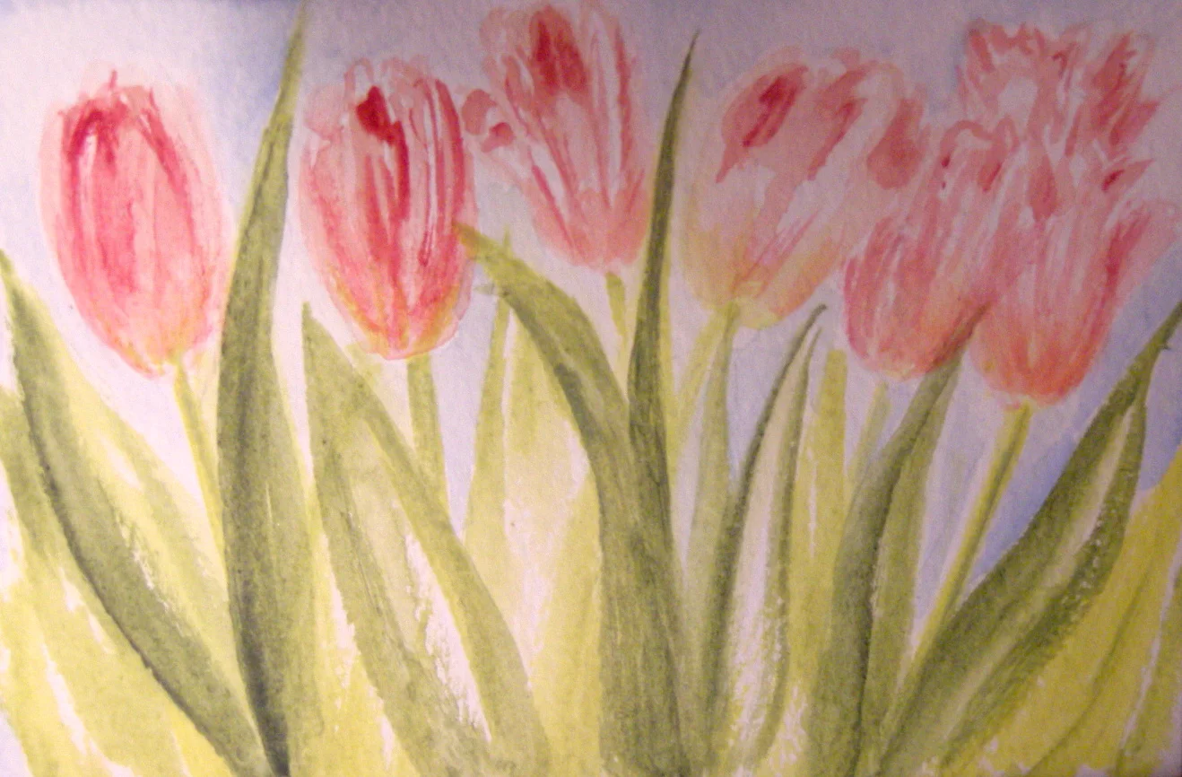 Pink swaying tulips