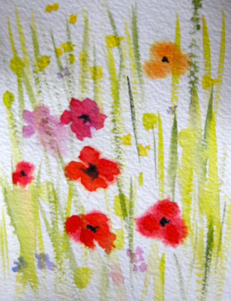 Poppies, red, pink and yellow
