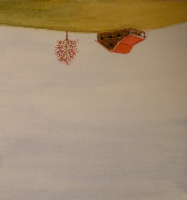 Mark's lanscape turned upside down