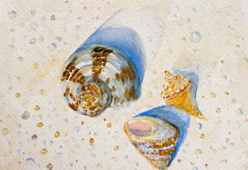 Three shells