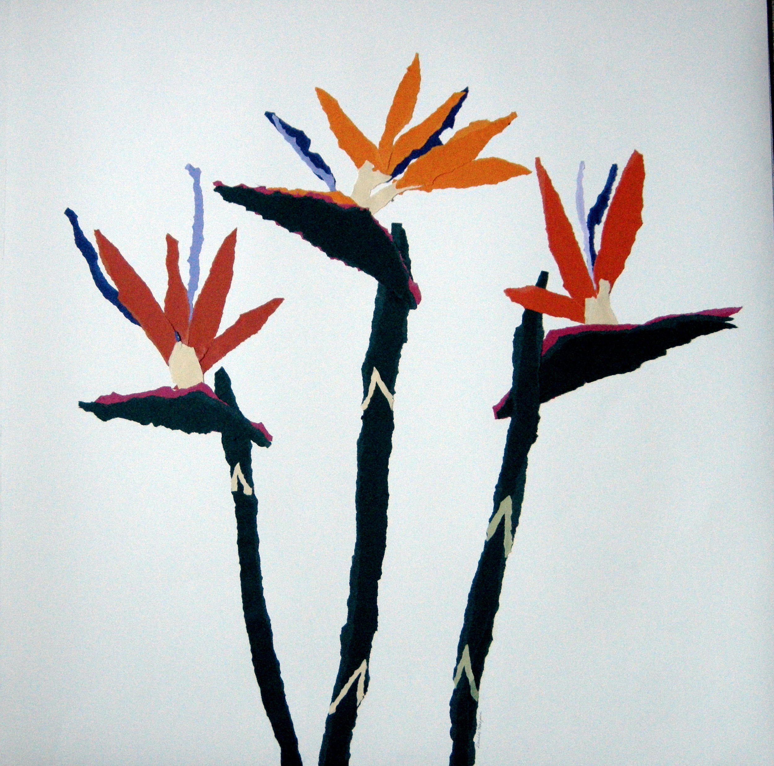  paper on paper, on exhibit at Beth Israel Hospital 