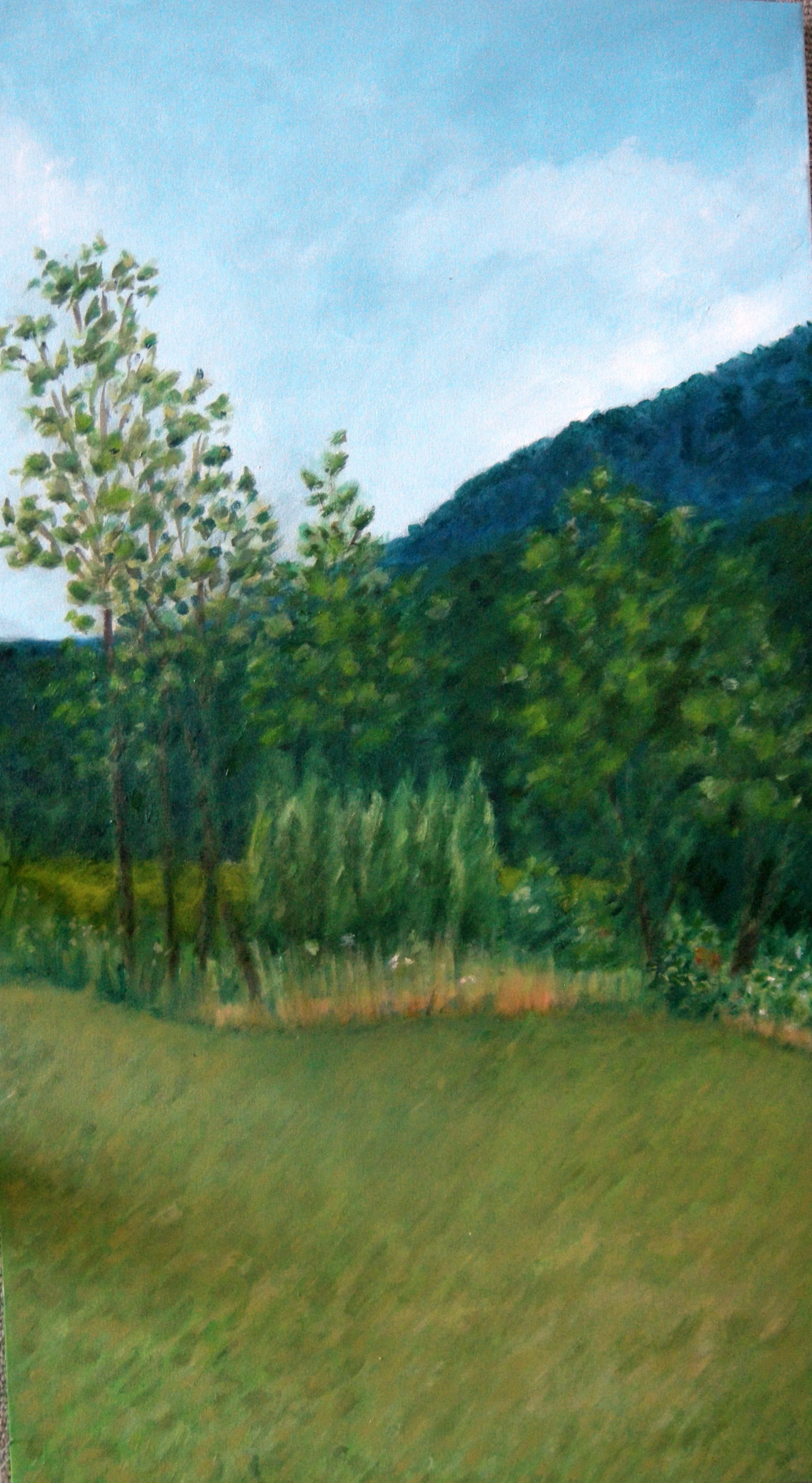 View from the porch