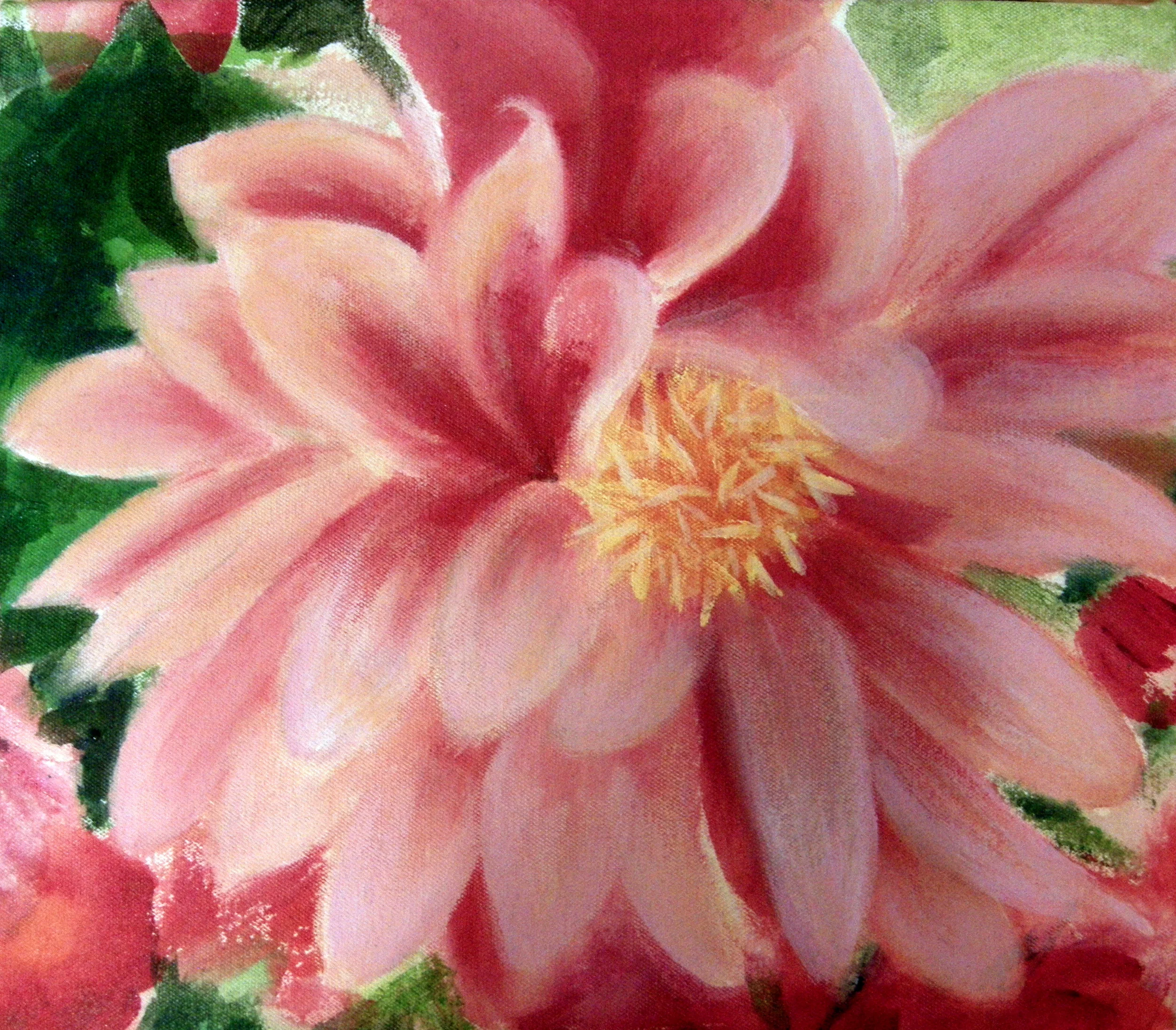 Dahlia