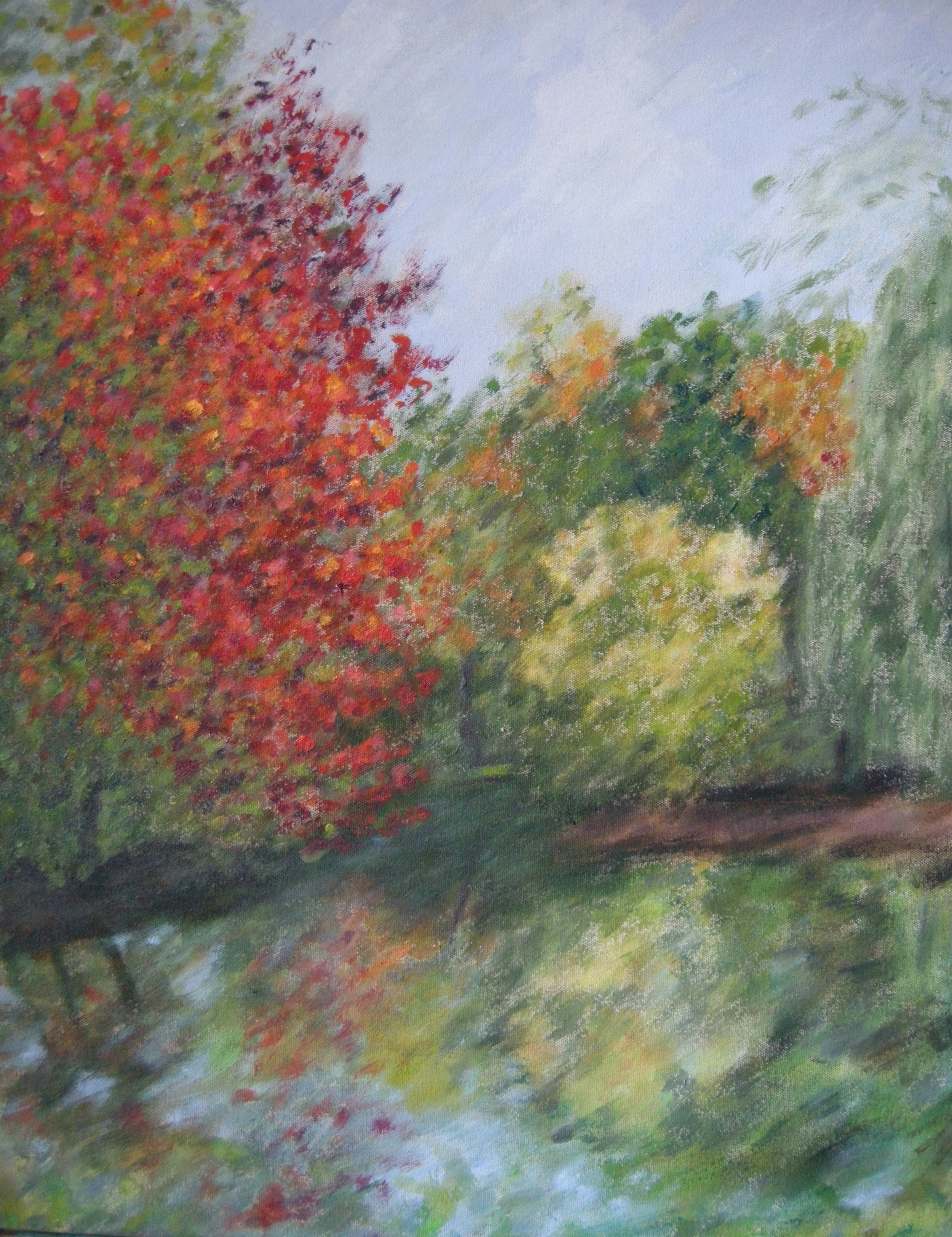 The pond in Central Park