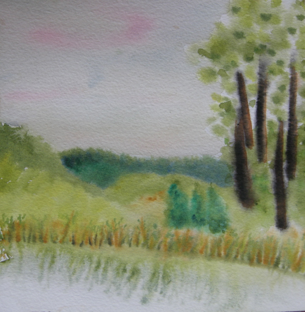 Bridget and Tom's Pond