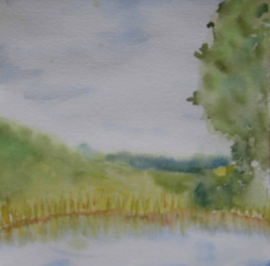 Bridget and Tom's Pond 2