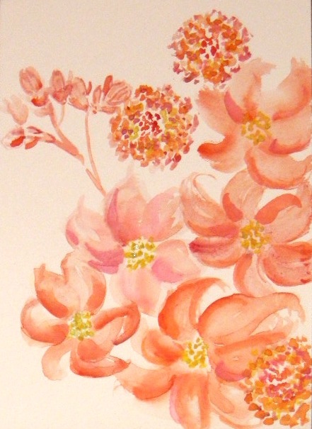 Coral flowers