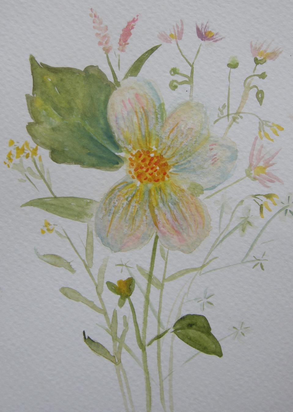 Brita's Dahlia