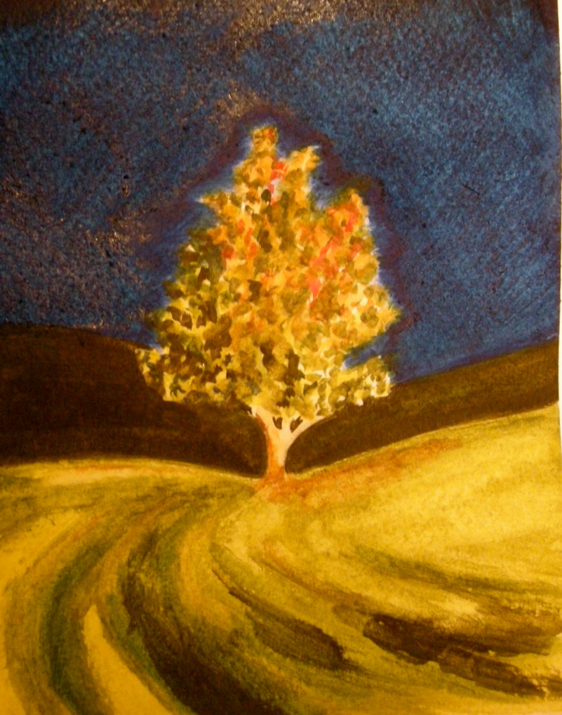 Jack's landscape