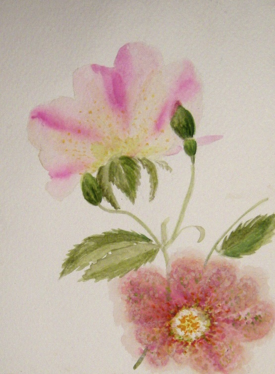 pink with pointilism
