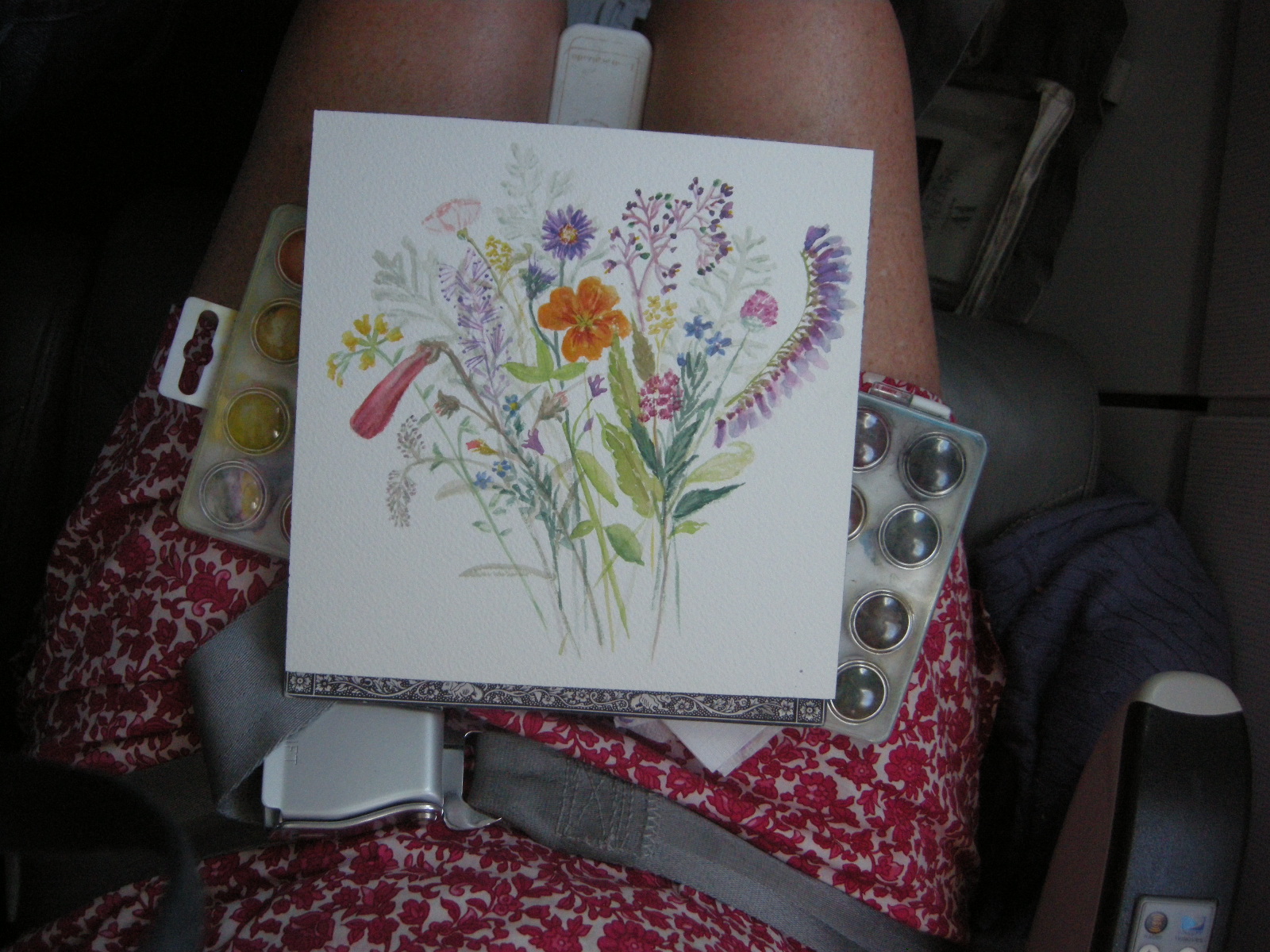 painting on the plane
