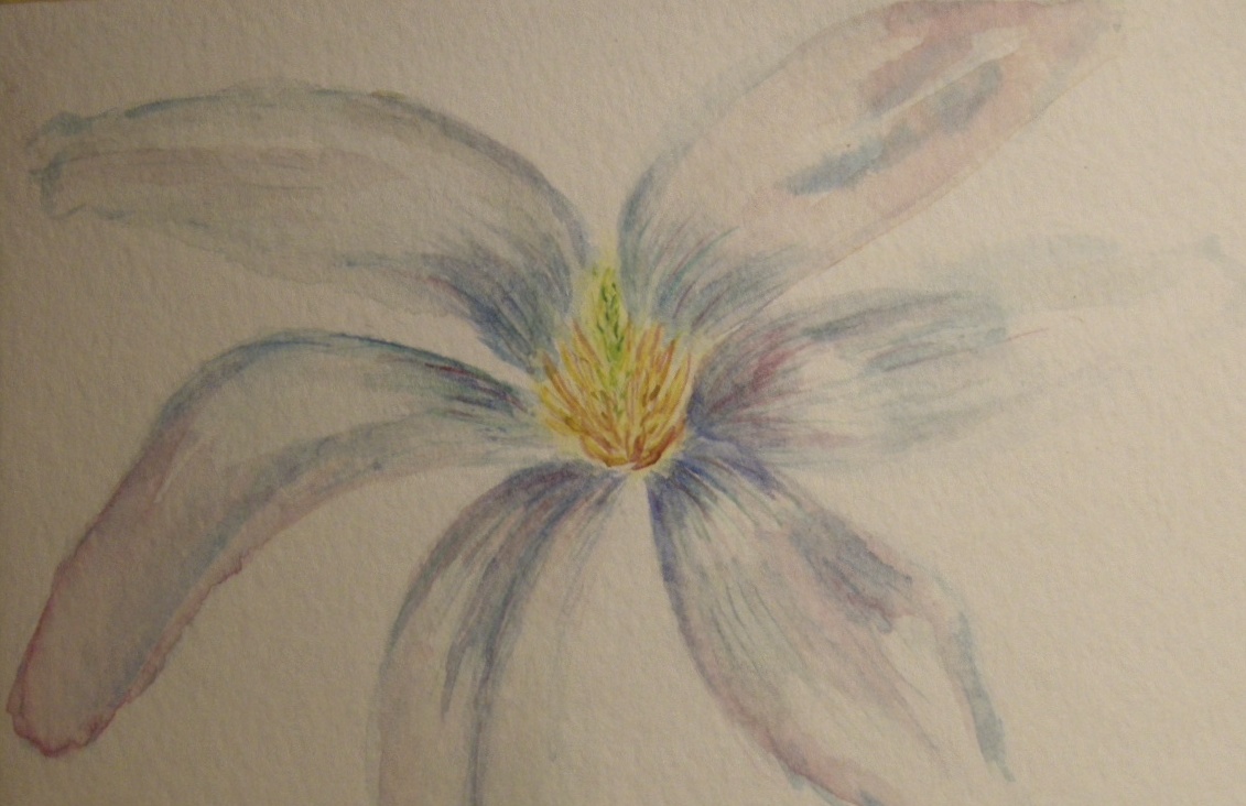 Flopsy whitewith blue