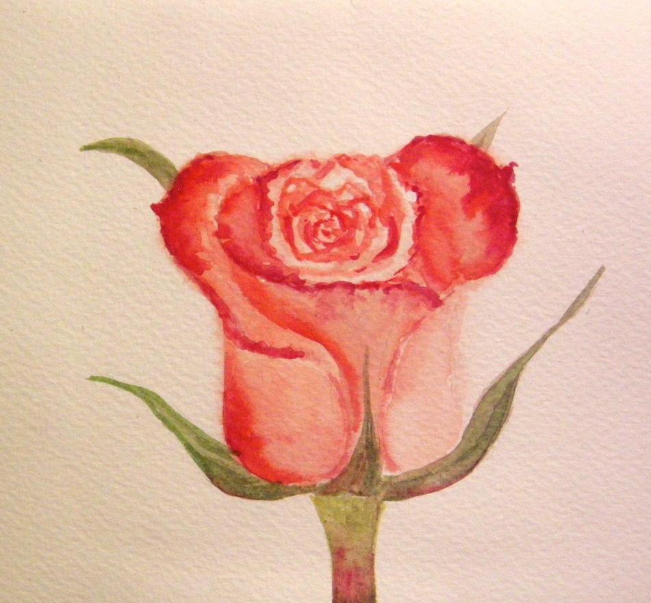 Rose for Rosa