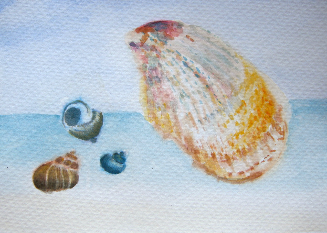 Flying Oyster