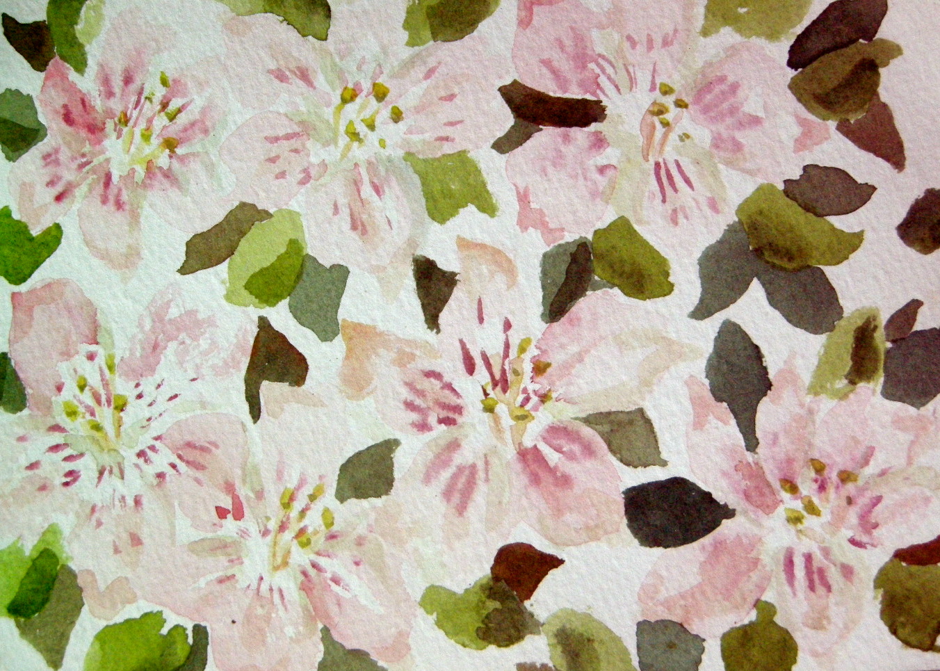 Pink and Green Flowers