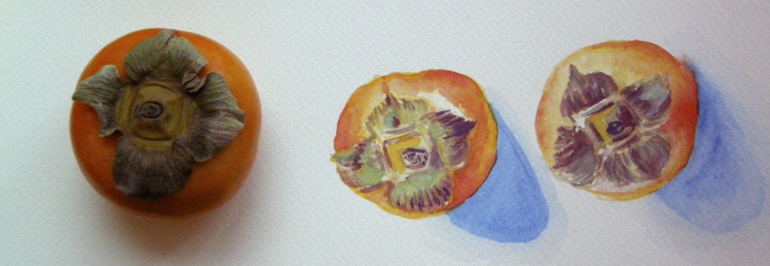 Will the real Persimmon...