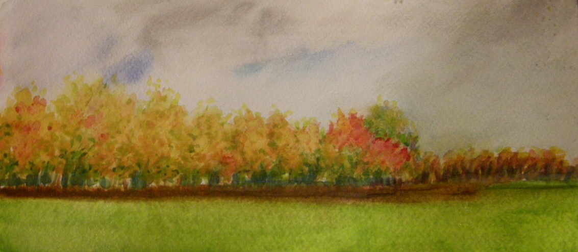 New Hampshire Foliage, homage to Mark