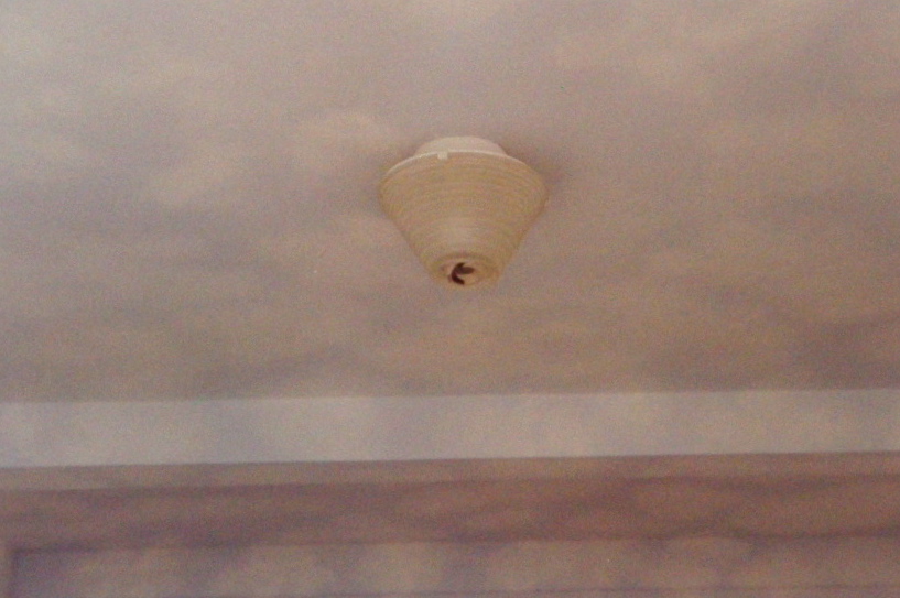 Cloud ceiling