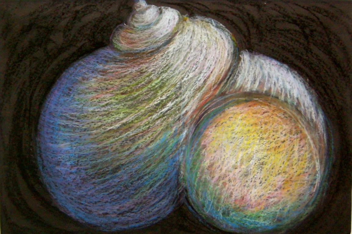 Pastell shell