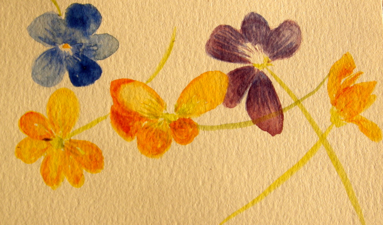 Dancing Violets