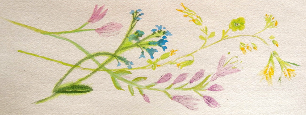 Dancing Foral, Y,B, P, V