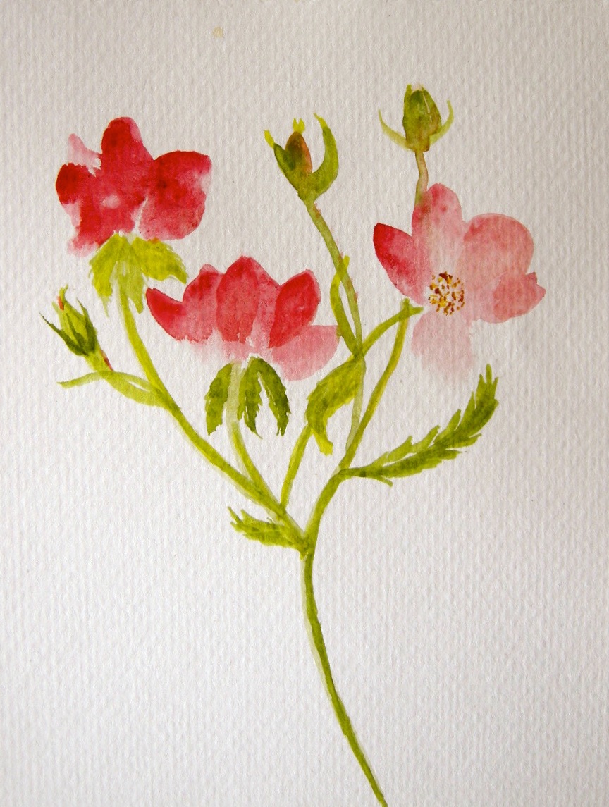 Lyrical Red Floral
