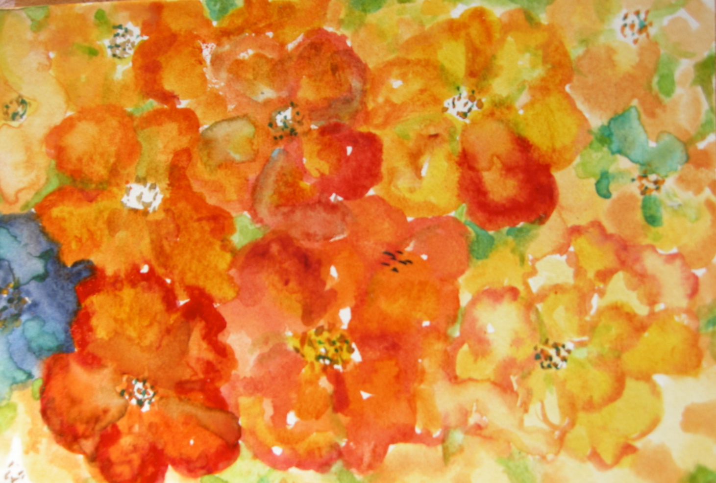 Bleeding Orange Petals