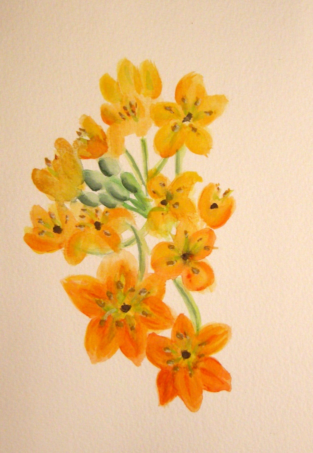 Tumeric Floral