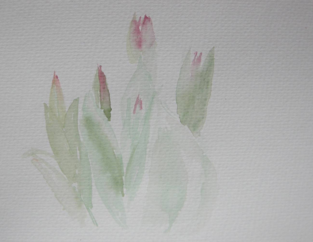 Red Tulips for Christine