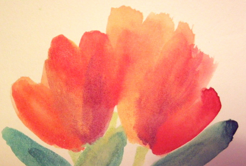 Red and Orange Tulips
