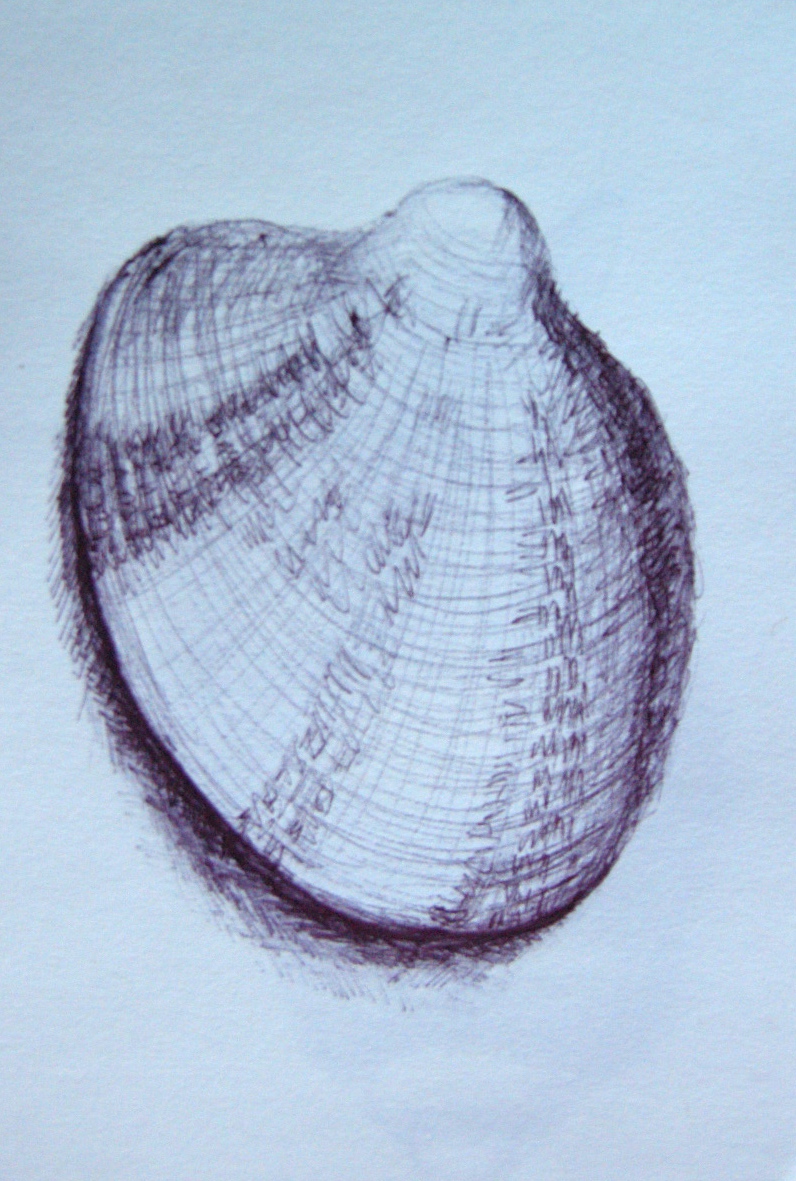 Ink shell