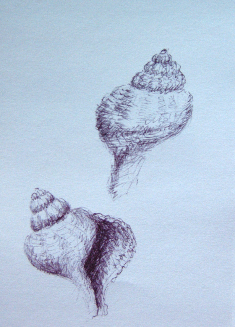 Ink Shells