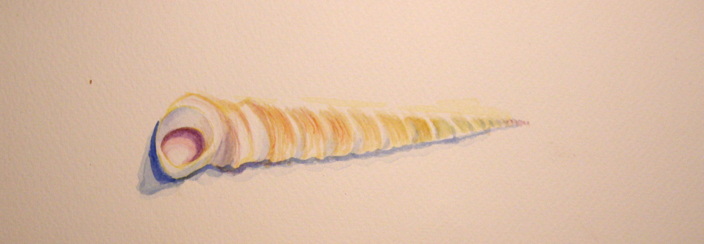 A.C.'s Shell